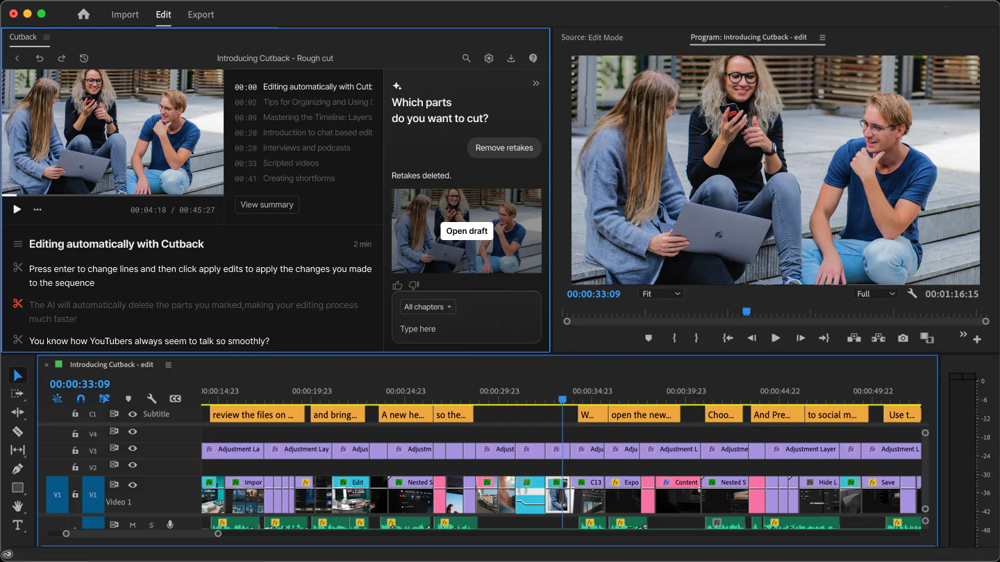 Screenshot of Premiere Assistant