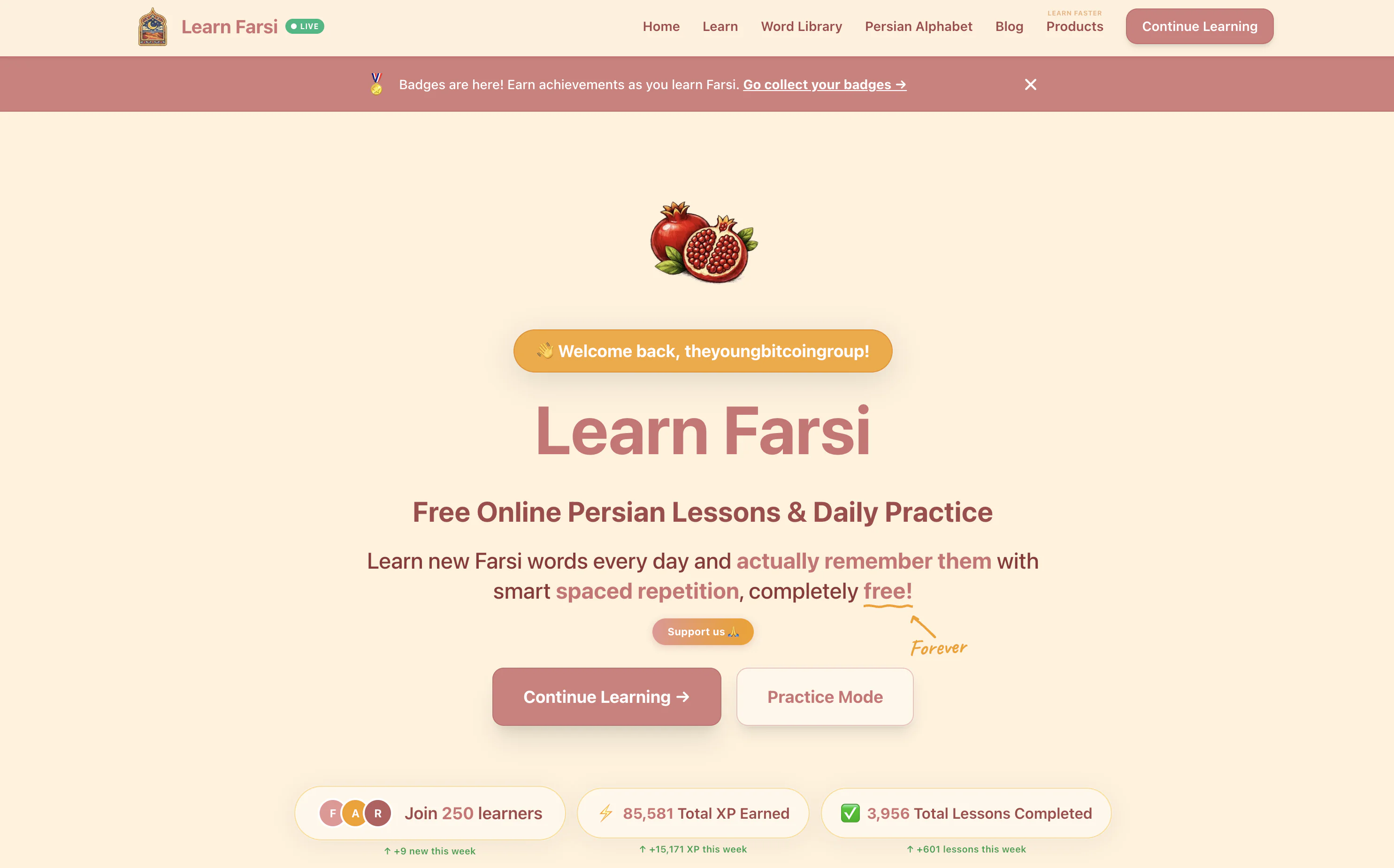 Screenshot of Learn Farsi