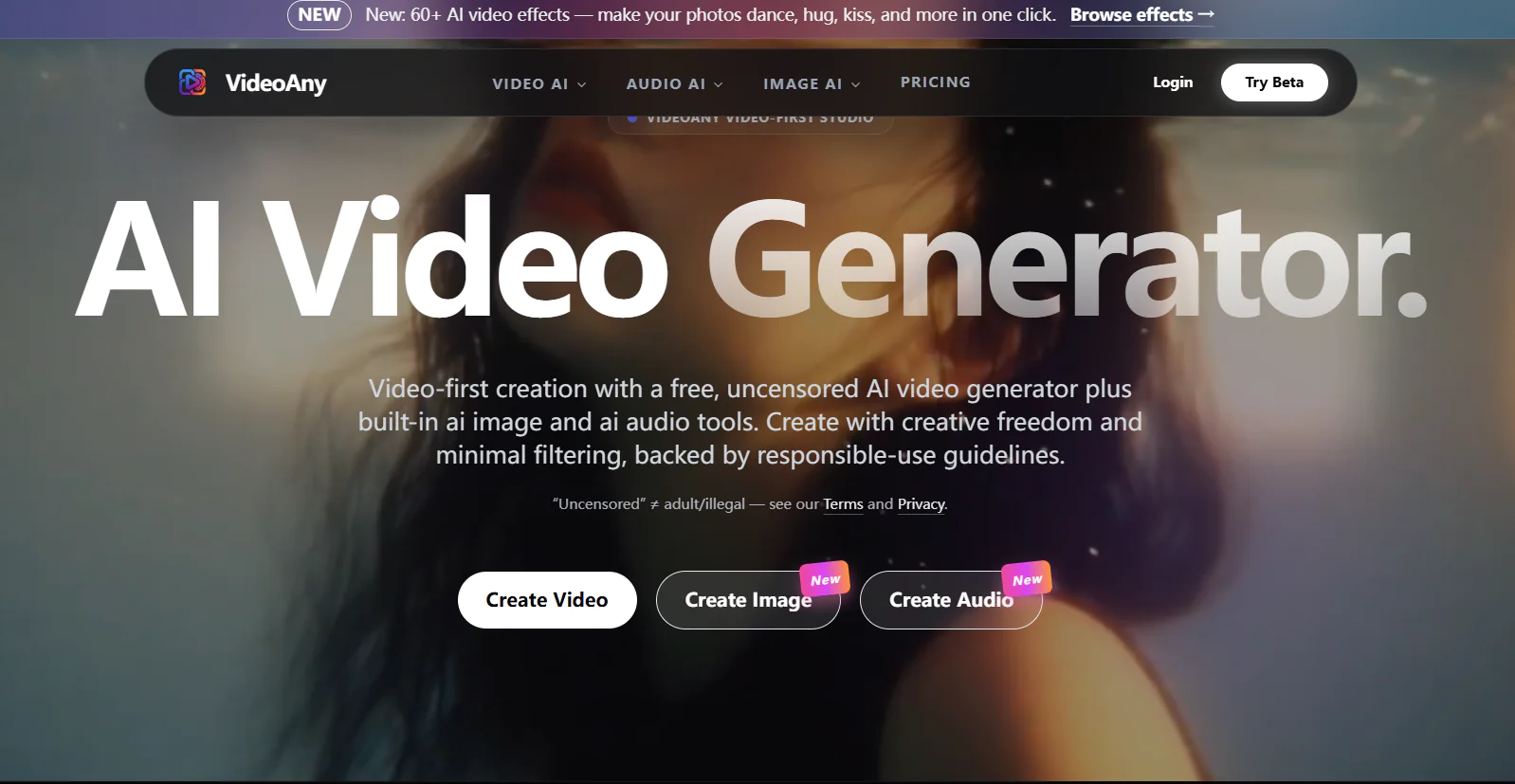 Screenshot of videoany