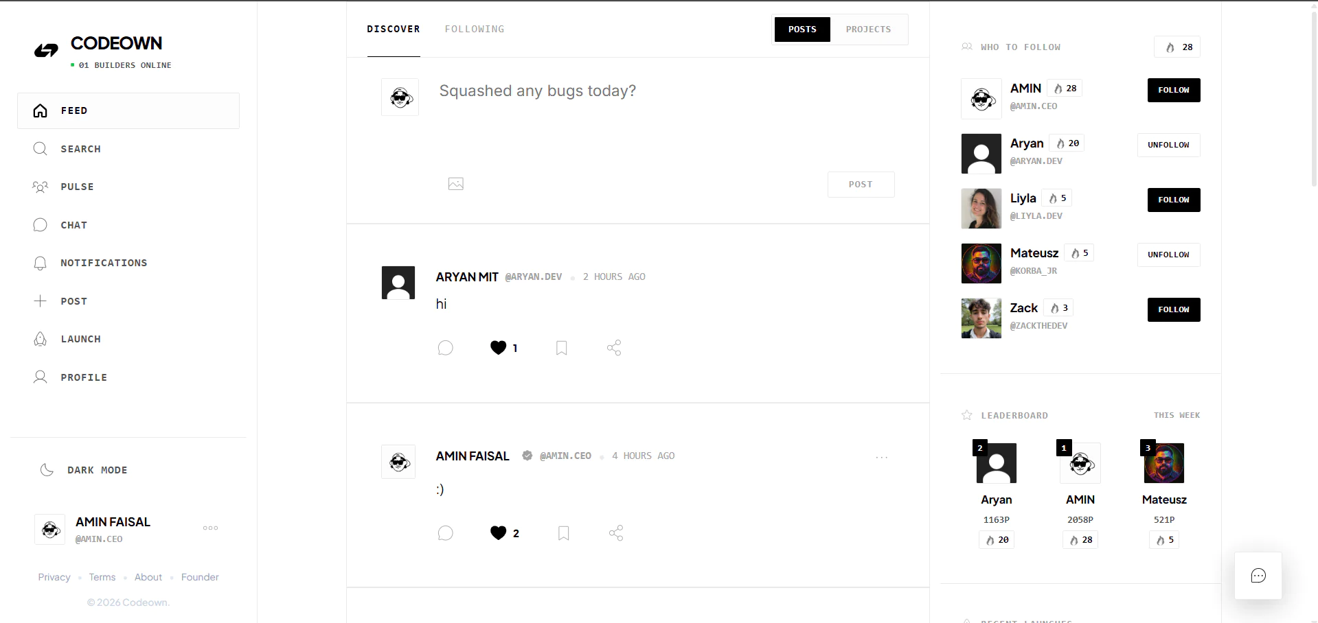 Screenshot of Codeown